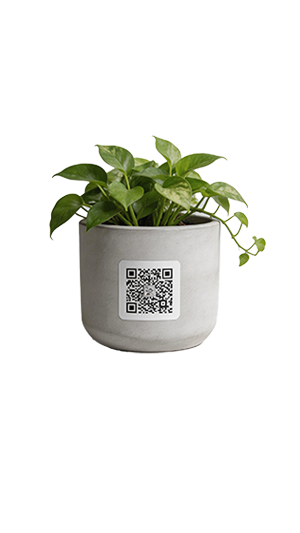 Smart Plant